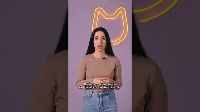 Кане-корсо: немного о породе #shorts #канекорсо смотреть онлайн