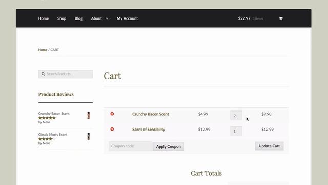 Using WooCommerce Shortcodes to Make Your Store Look Great смотреть онлайн