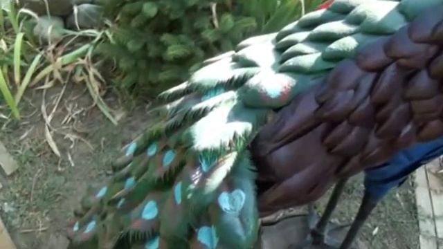 Уютный двор по ул. Севастопольская, 53