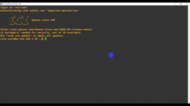 AWS SA Associate - Create Linux EC2 in Customized VPC [Urdu/Hindi] смотреть онлайн