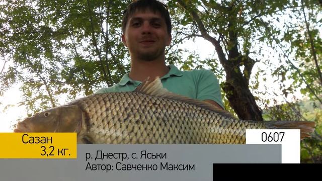 Фотоальбом - Рыбалка №121 смотреть онлайн