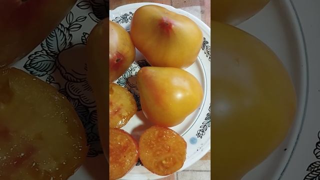 Коллекционный томат Оранжевый слон минусинский в разрезе и на вкус смотреть онлайн