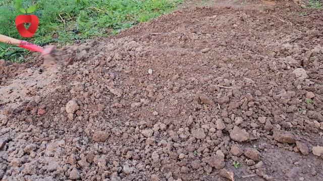 Pepeo daje plodnost tlu i zaštitu biljkama - upotrijebite ga na ove načine смотреть онлайн