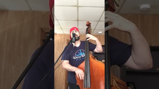"Time To Go" Original song by Chris DeAngelis performed on upright bass and vocals. смотреть онлайн