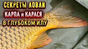 Ловля ТРОФЕЙНОГО КАРПА на ФЛЭТ ФИДЕР на ДИКОМ ВОДОЁМЕ