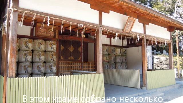 Ранняя весна: Япония, конец февраля смотреть онлайн