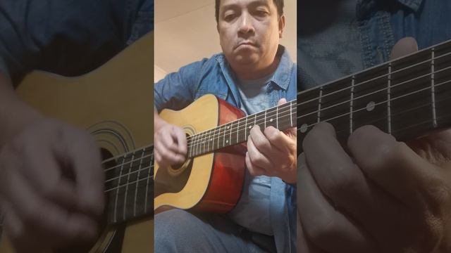 Washburn Acoustic Guitar Model D-10N, Beautiful Sound