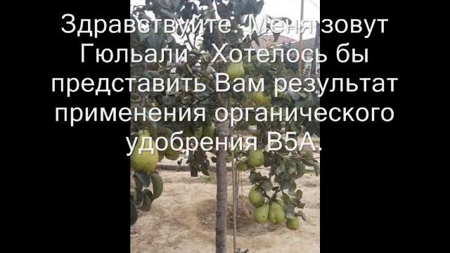 B5A органическое удобрение. смотреть онлайн