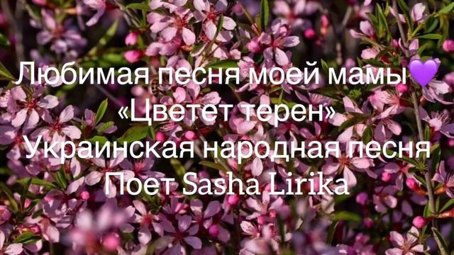 Украинская народная песня «Цветёт терен» смотреть онлайн