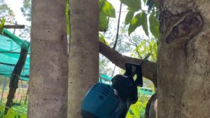 New Makita DJR189 Cordless Recipro Saw 18v LXT