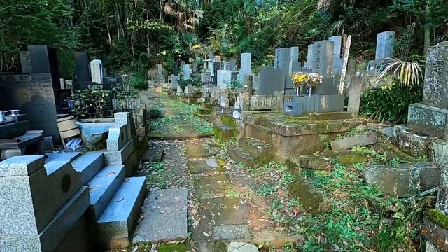 Как живут японцы далеко от Токио. Сельский городок в Японии. смотреть онлайн