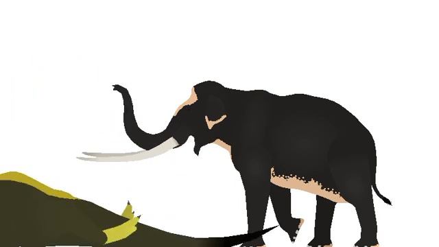 Palaeoloxon Vs Tyrannosaurus