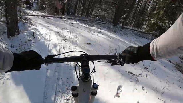 Дешевые велоботинки и где они обитают смотреть онлайн