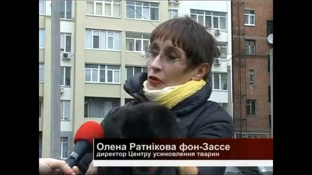 Харьковский приют для животных смотреть онлайн