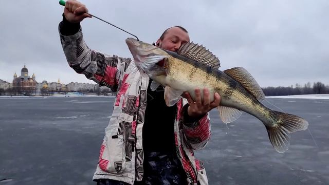 судаки на жерлицю смотреть онлайн