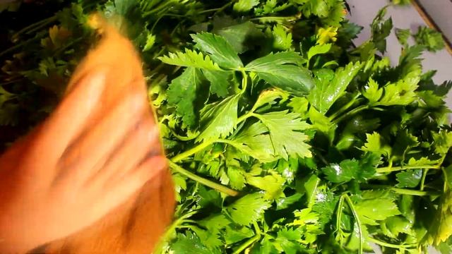 А Вы знали как надо запасать сельдерей на зиму??Ароматная Сельдерейная соль в домашних условиях!И е смотреть онлайн