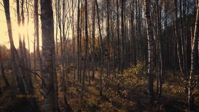 Perfect AIR - Slow Shaman Drum & Wind Chimes - Heart Chakra Balancing Meditation - Tantra Music