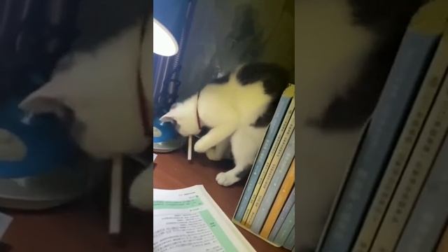 ещё прикурить бы. mp4 смотреть онлайн