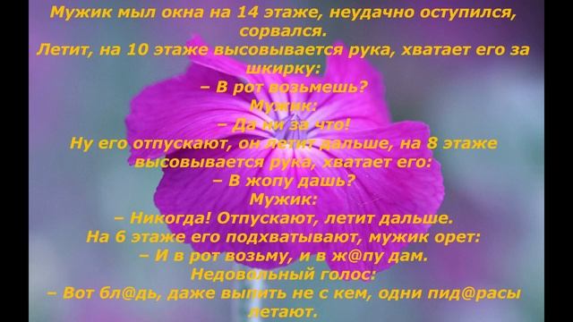 НЕтипичные анекдоты #24 Анекдот дня! Смешные анекдоты! смотреть онлайн