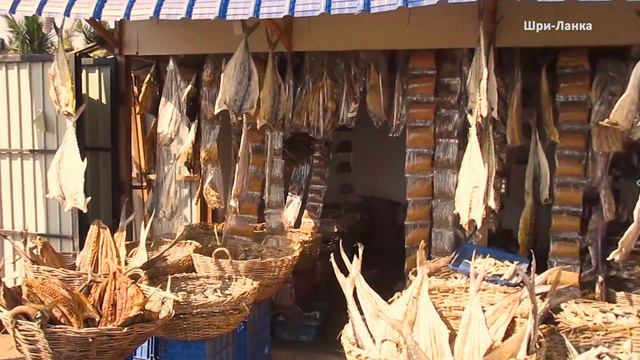 Железные дороги в Шри-Ланке. Часть 8. Шри-Ланка смотреть онлайн