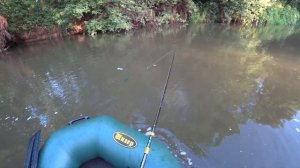 Джеркбейты HERKY JERKY VS. BUSTER JERK. Херки Джерки vs Бастер Джерк. Рыбалка на джерки.