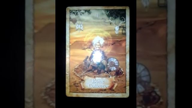 Daily oracle card reading January 22 2013 смотреть онлайн