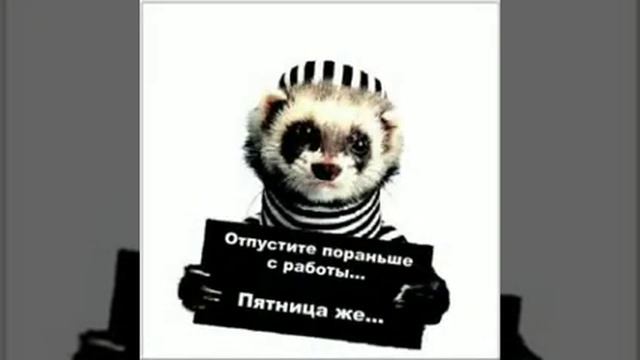 Красивое поздравление с пятницей!!!! смотреть онлайн