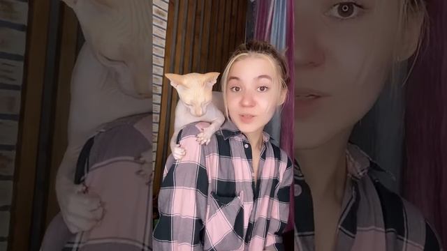 ВЫ ТОЧНО НЕ ЗНАЛИ ЭТОГО О СФИНКСАХ #5 смотреть онлайн