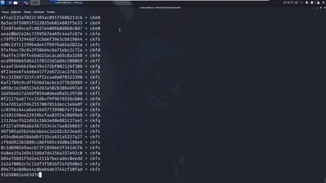 Md5 Şifre Oluşturma Ve Kırma Kısa Ve Öz. смотреть онлайн