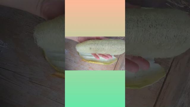 натуральная губка люффа смотреть онлайн