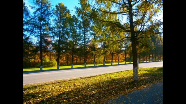 Сланцы - город на юго-западе Ленинградской области смотреть онлайн