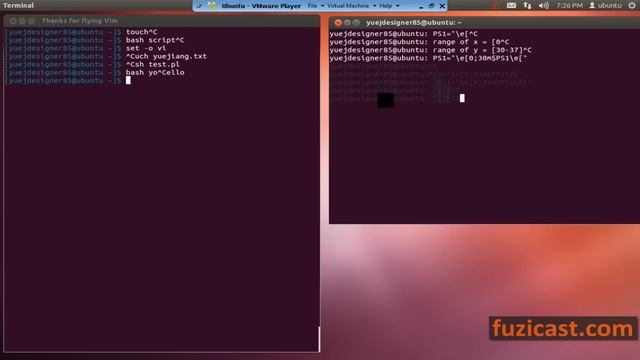 UNIX-1.10 Customize Command Prompt (Video Tutorial) смотреть онлайн