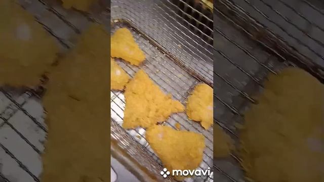 Волшебные грибы???Зонтики☂️☂️☂️ смотреть онлайн