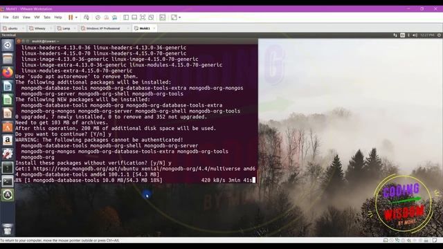 Learn MongoDB, MongoDB installation in Ubuntu Video 1 смотреть онлайн