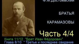 " Братья Карамазовы " - Часть 4/4 - Книга 11/12 - Глава 8/10