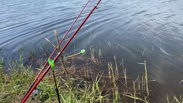 Да как так то?! Просто хочется плакать! Рыбалка на донки май 2023. смотреть онлайн