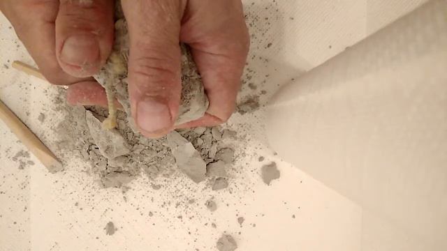 Сенсация!!! Найдены древние кости!!! Смотреть до конца! смотреть онлайн