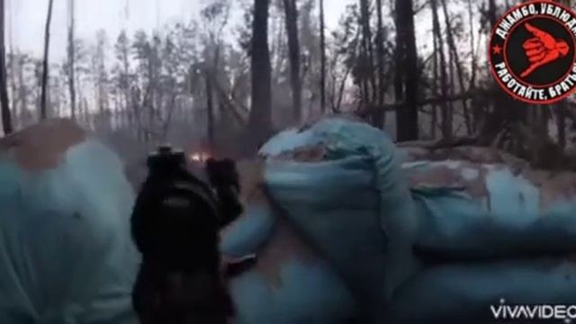 Атмосфера боя в лесах на передовой. ДЖАМБО?? (https://t.me/+YylQV2V1gqgzOTU6) смотреть онлайн
