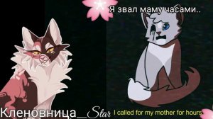 #16 Утерянные файлы /Снежок #2 /коты воители /