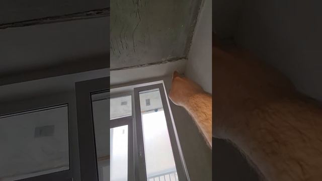 Закарнизная ниша смотреть онлайн