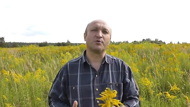 Борозду твоих страданий Бог пролагает... смотреть онлайн