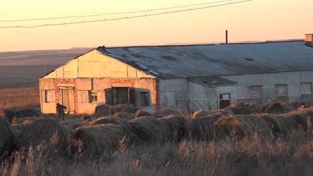 В Козловском районе есть коровы Фермеры в работе 14 11 2018 смотреть онлайн