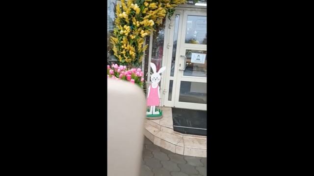 #Зима#Улица#Цветы