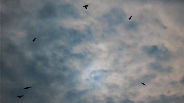 ALPHA & Manowar (Courage) смотреть онлайн