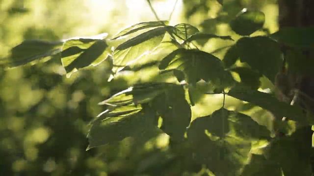 ДИТЯ НЕНАСЫТНЫЙ смотреть онлайн