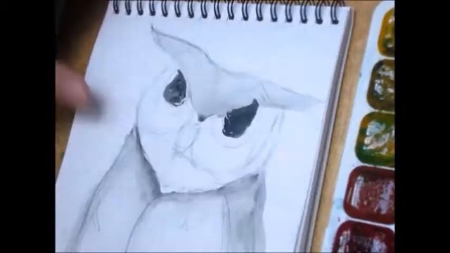 как нарисовать сову акварелью / скетч / art make смотреть онлайн