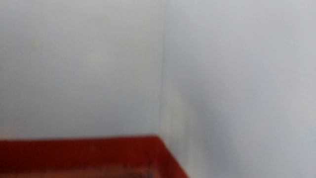 Заброшенный санаторий Металлург. г. Выкса смотреть онлайн