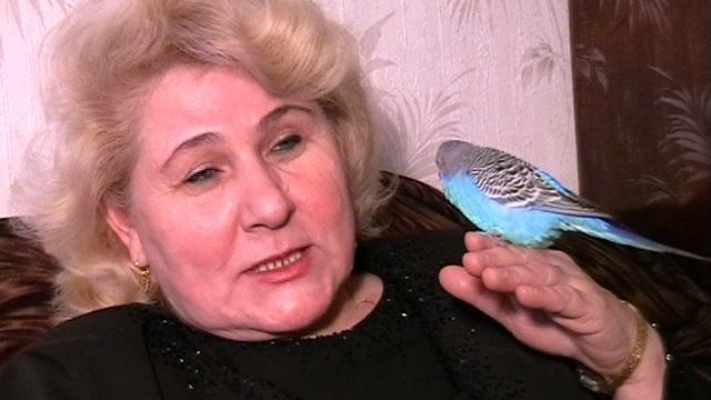 Зверьё моё..... смотреть онлайн