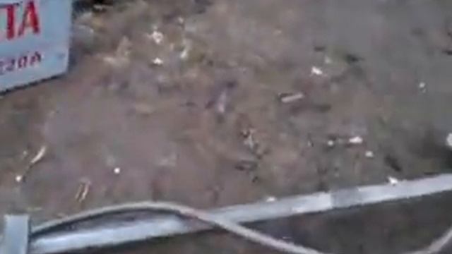 Теплица своими руками