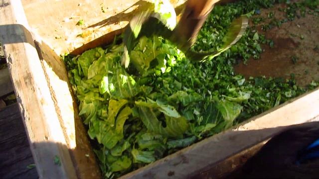 ЗНАКОМ ДОЛЛАРА РУБИТЬ КАПУСТУ НА РУСИ смотреть онлайн